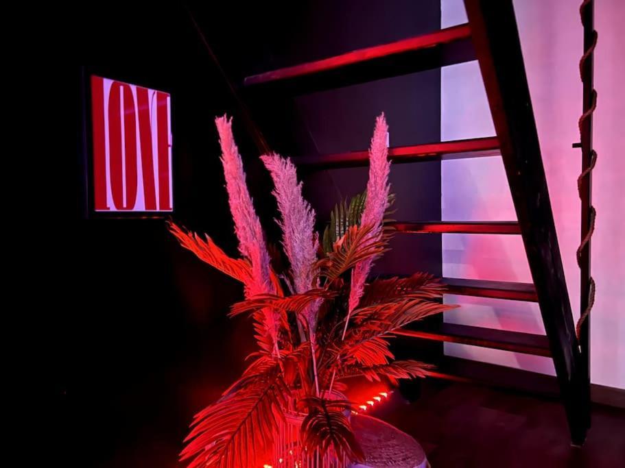 Red Love-Room / Balneo & Plus ! Souppes-sur-Loing المظهر الخارجي الصورة